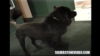 Nancy Vee Si Alex Dane