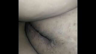 Aunty बिल्ली