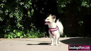 Petite tatoverte babe finner hunden sin til naboens eiendom.Hennes nabo vil ha en belønning, de fjerner klærne og hun halser naboer bigcock.In returnere hennes nabo fucks hennes fitte og rumpa dypt og hardt til han cums på henne.